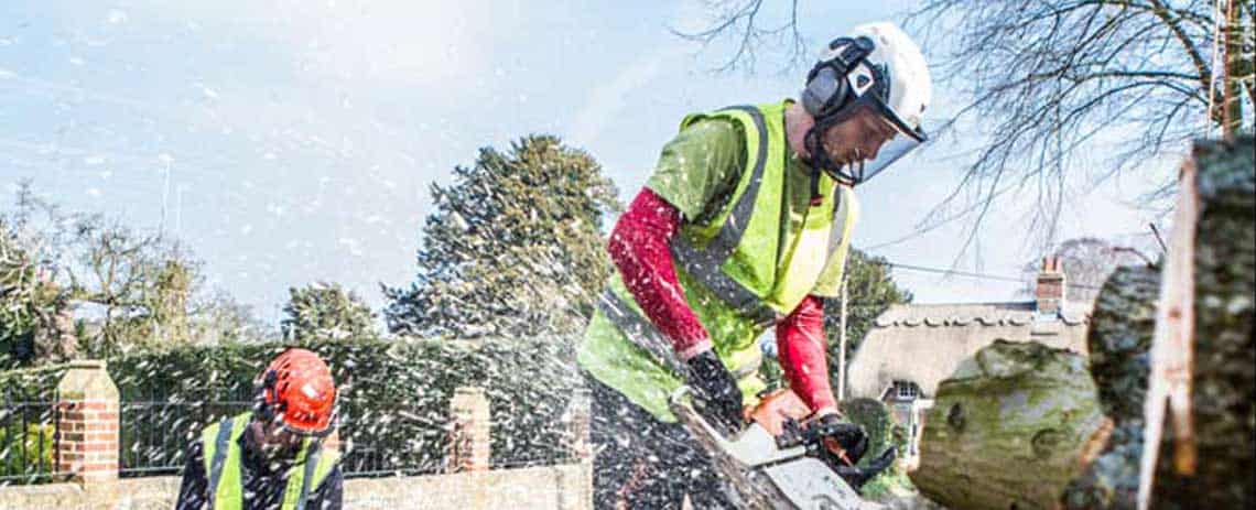 Camberley Tree Surgeons Climbersway Tree Care