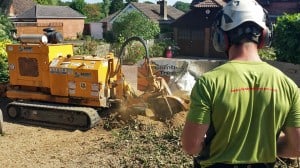 Stump Grinding
