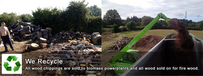 We Recycle - All wood chippings are sold to biomass power plants and all wood sold on for firewood.