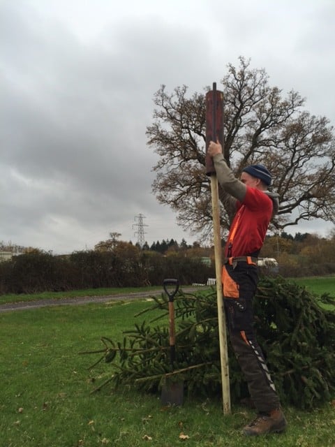 Tree Planting in Southampton & Hampshire