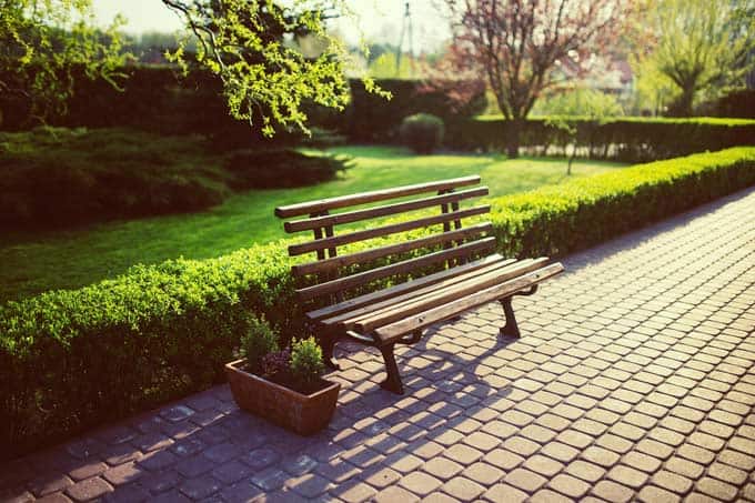 Bench and hedge