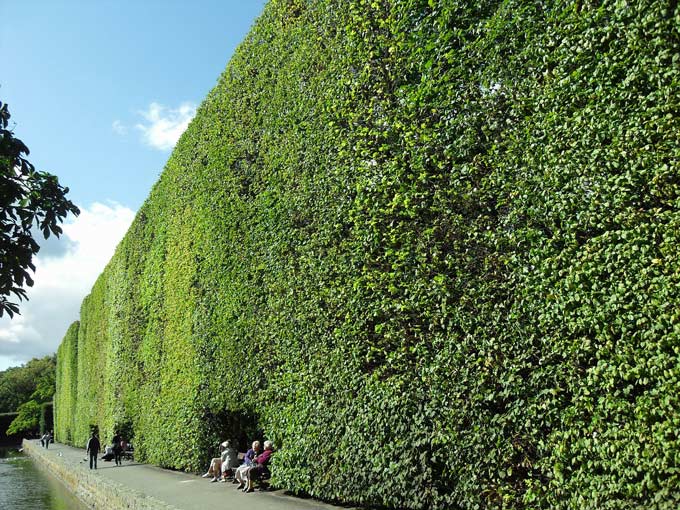 A very large formal hedge