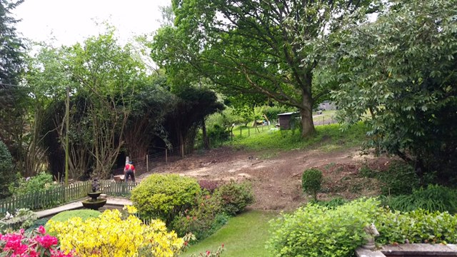 A picture showing the garden after the leylandii trees had been removed.