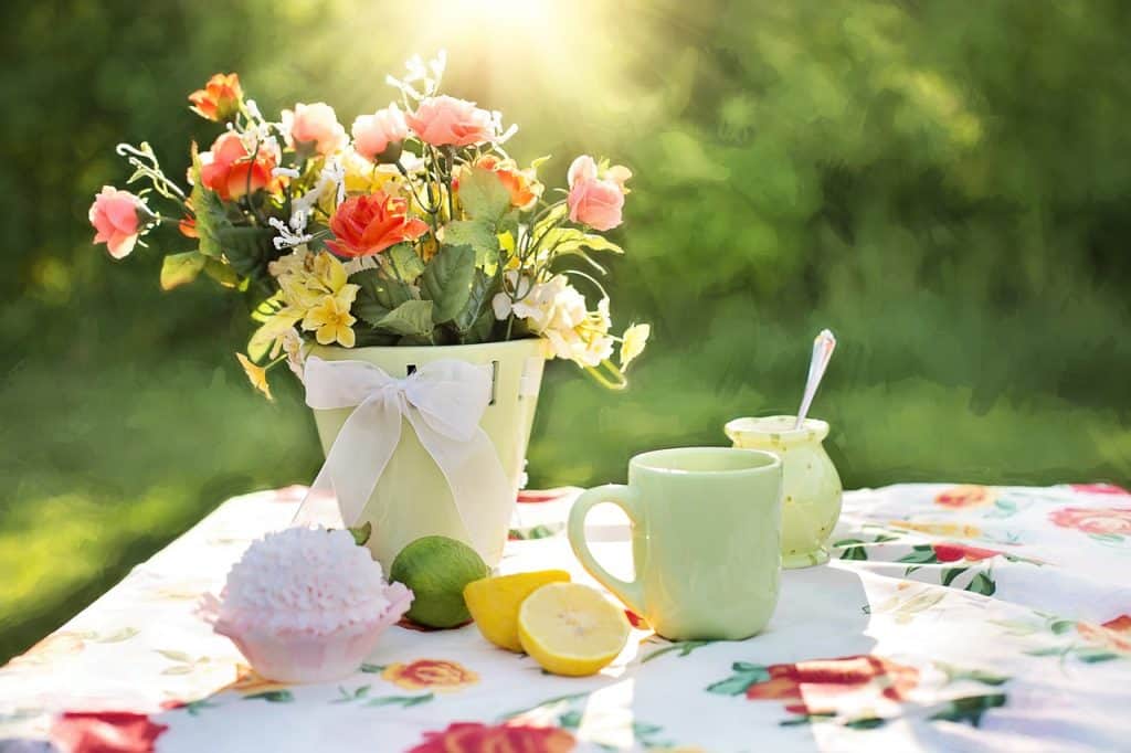Sunlight on a summer table.