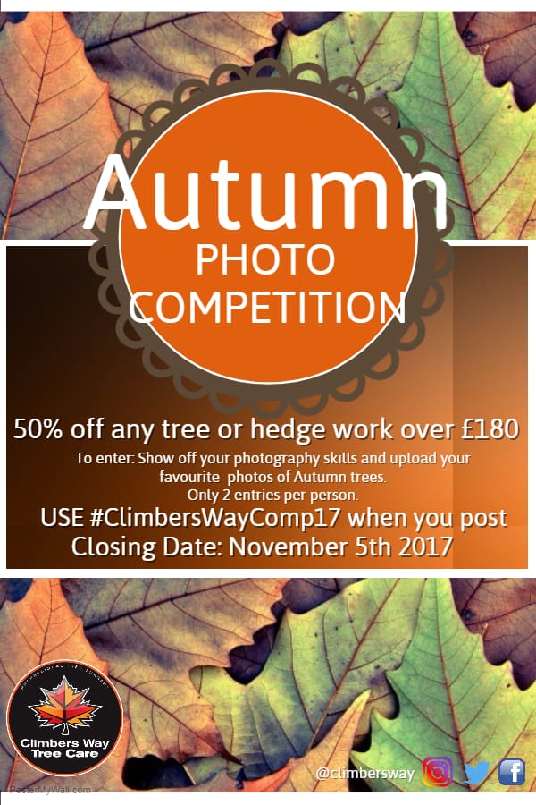 Autumn Photo Competition Poster