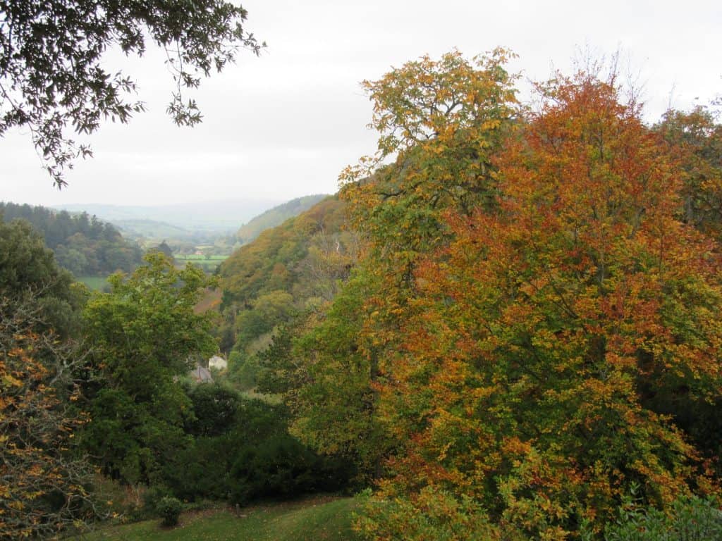 Autumn Colours Over Dunster Castle by @mouseandgarden
