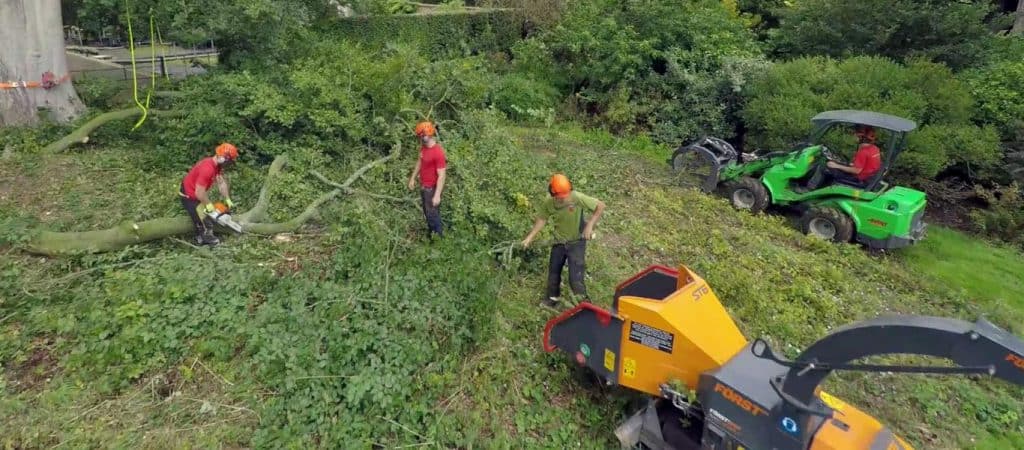 Tree surgeons working in Abingdon-on-Thames