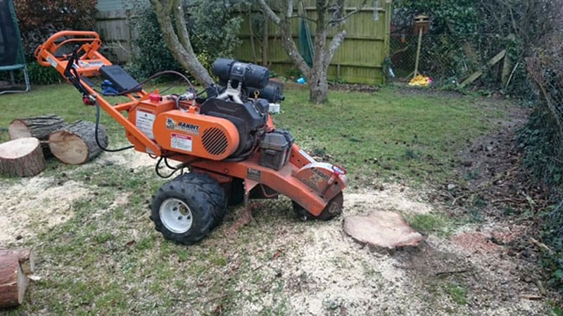 Stump Removal
