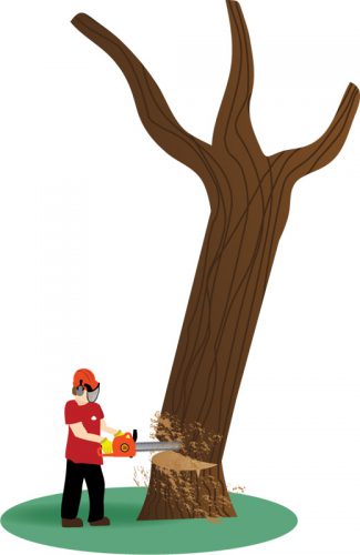An illustration showing tree felling