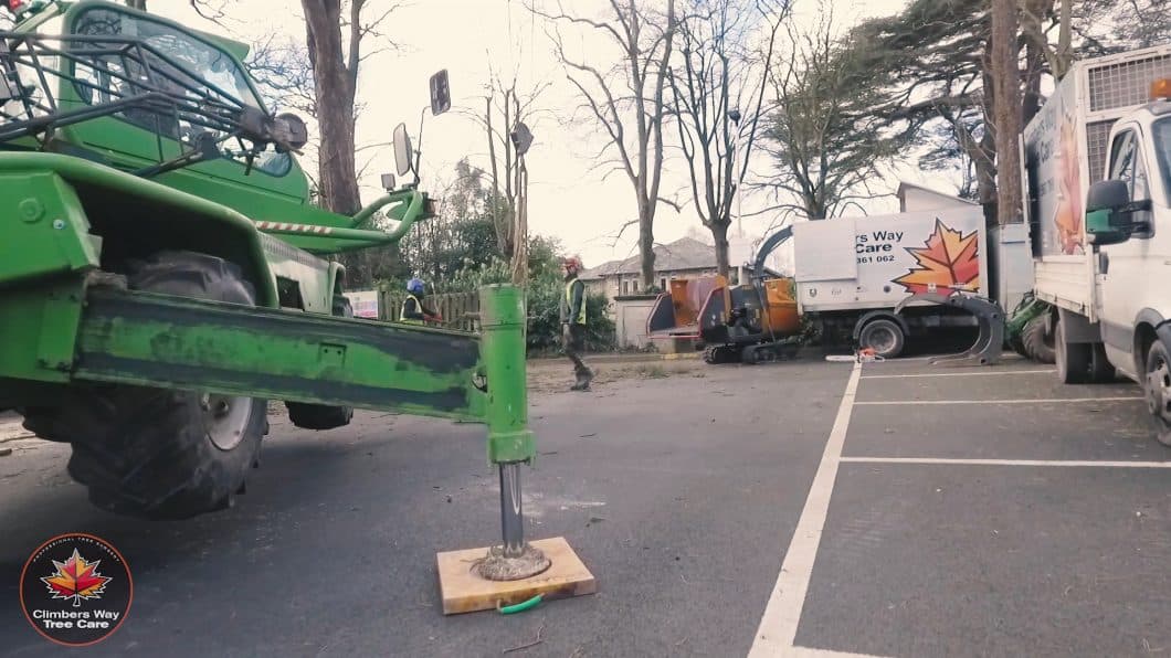 The crane that helped with the tree dismantle.