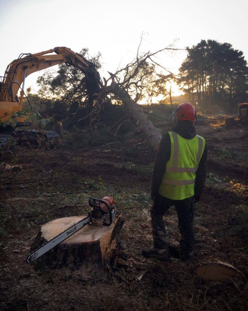 Looking over a Climbers Way site clearance
