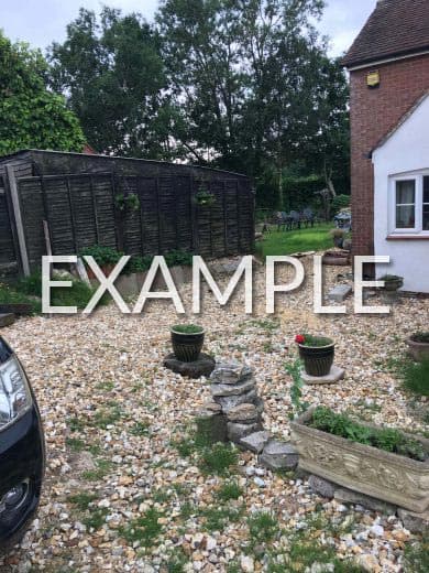 Photo Example 2: Access to the Tree