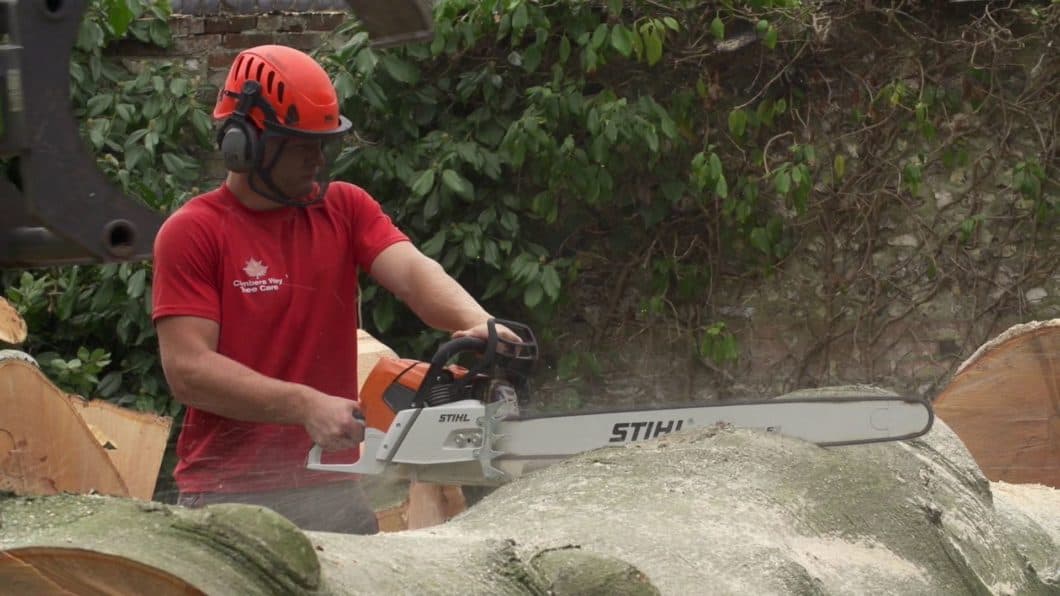 Havant & Waterlooville Tree Surgeon Cutting Trunk