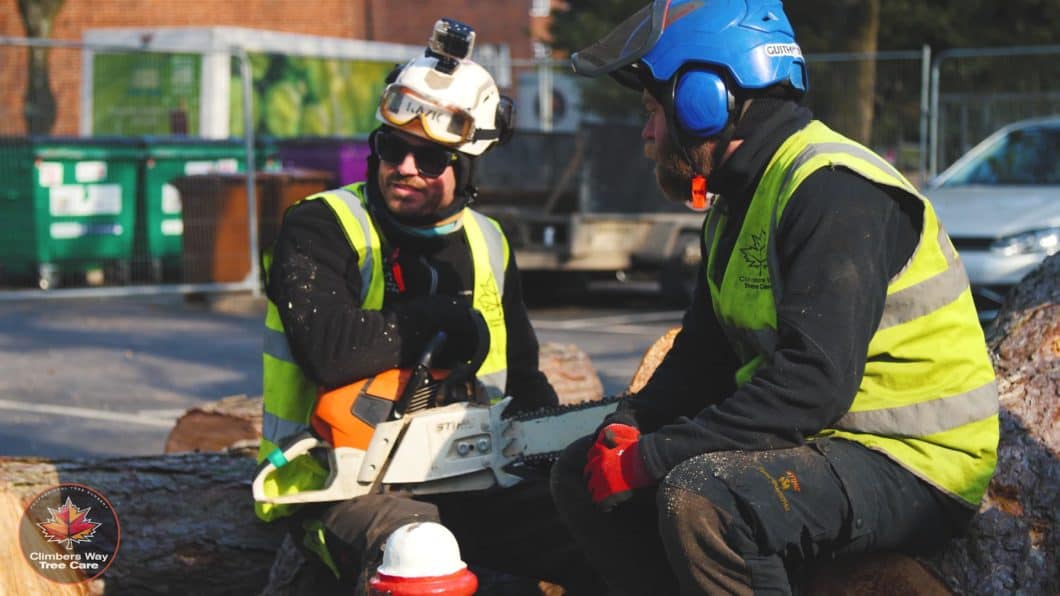 Hampshire Tree Surgeons maintaining their tools