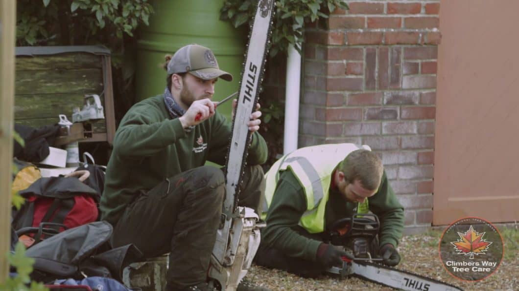 Chichester Tree Surgeons caring for their tools