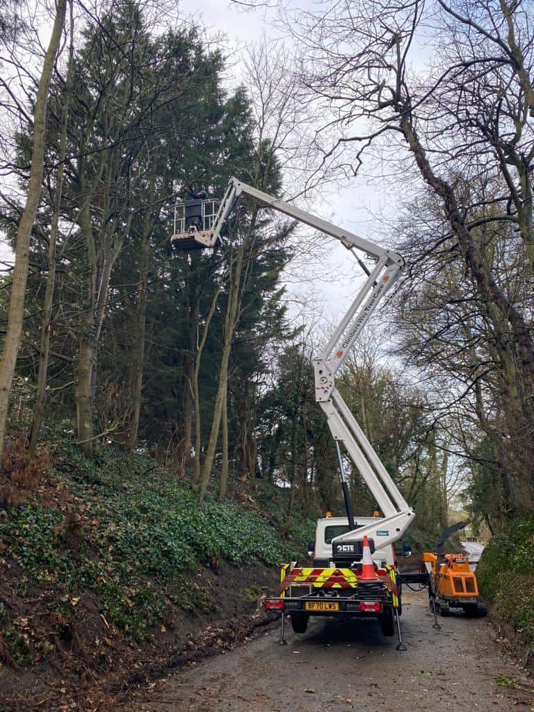 Tree Surgeon MEWP used by Surrey Tree Surgeons to increase efficiency