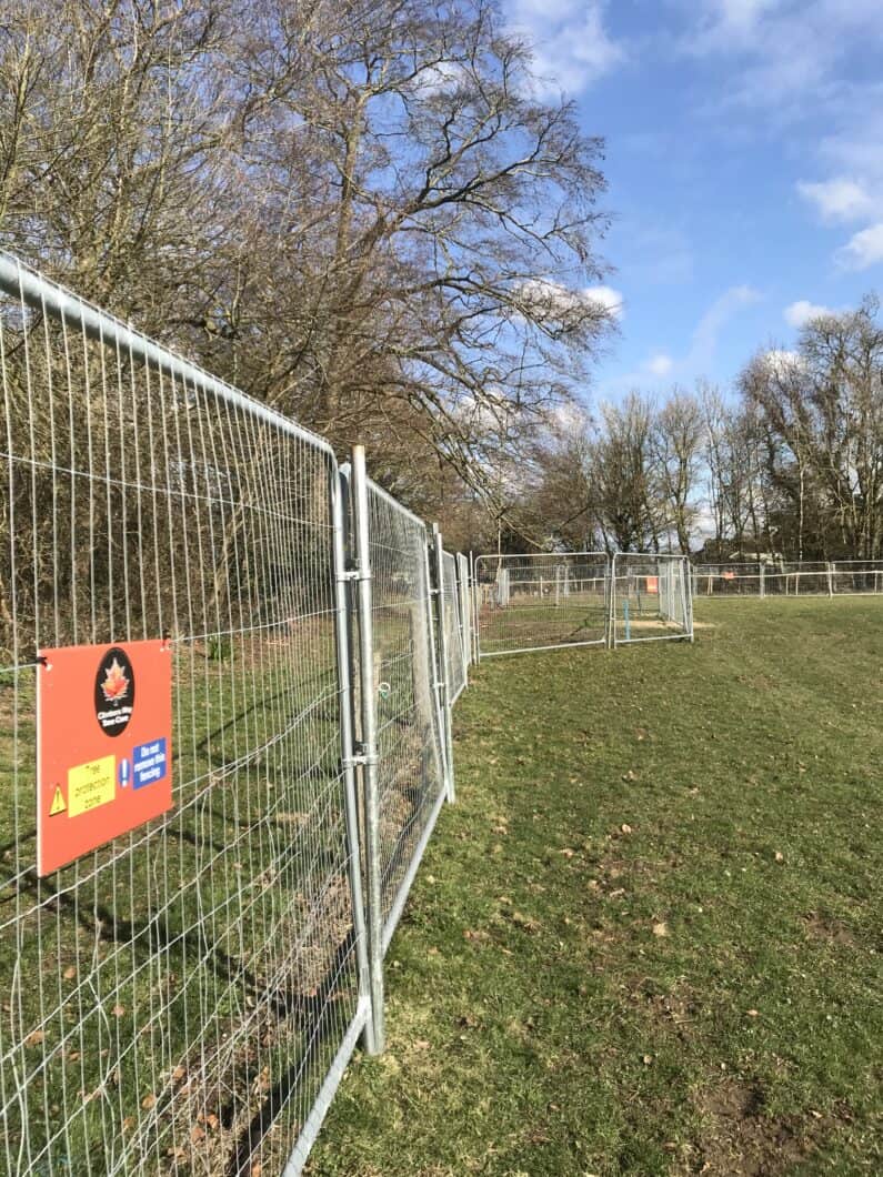 Tree Protection Fencing by Climbers Way Tree Care