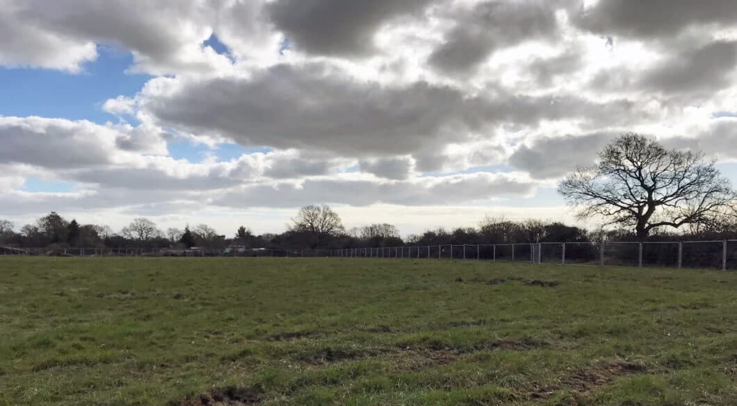 Tree Protection Fencing by Climbers Way Tree care