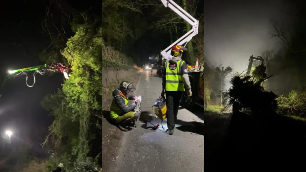 Ash Dieback Roadside Clearance at Night