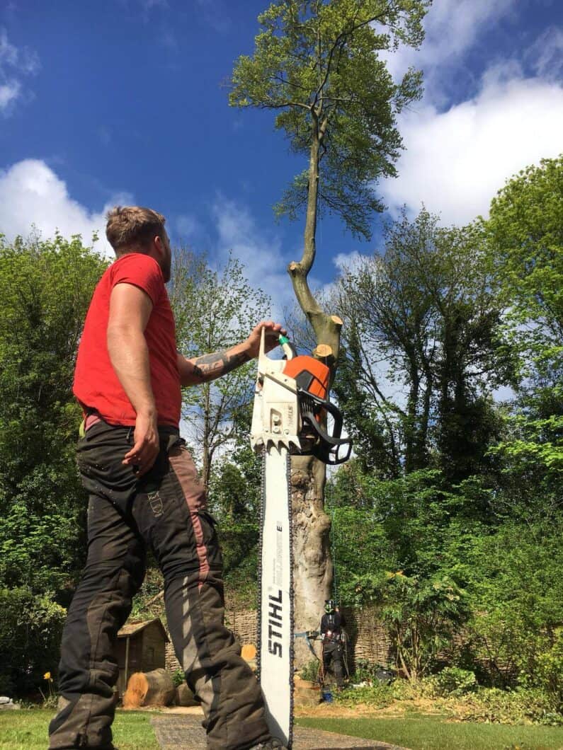 A chainsaw with at tree in the background