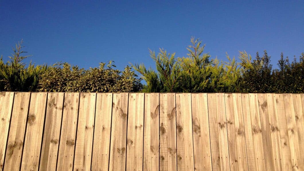 A fence with the neighbours hedge showing over the top