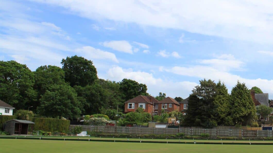 Trees that could be protected or in a conservation area