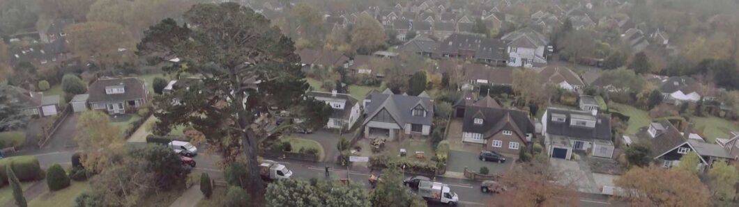 Permission to Cut Down Trees - A drone view of property