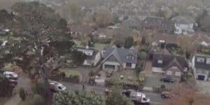 Permission to Cut Down Trees - A drone view of property