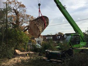 Climbers Way Tree Care Tree Surgeons