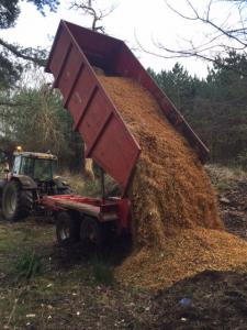 Climbers Way Tree Care Tree Surgeons