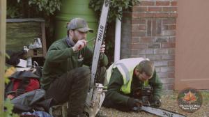 Climbers Way Tree Care Tree Surgeons