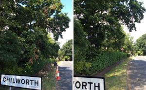 Climbers Way Tree Care Tree Surgeons