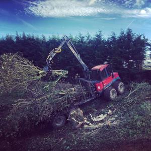 Climbers Way Tree Care Tree Surgeons