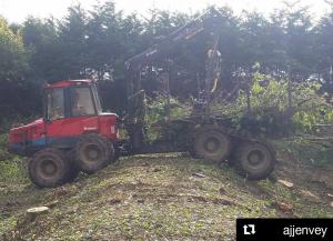 Climbers Way Tree Care Tree Surgeons