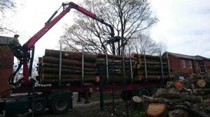 Climbers Way Tree Care Tree Surgeons