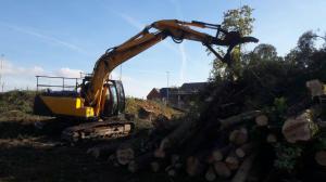 Climbers Way Tree Care Tree Surgeons