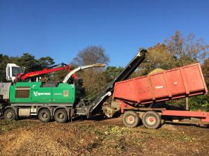 Climbers Way Tree Care Tree Surgeons