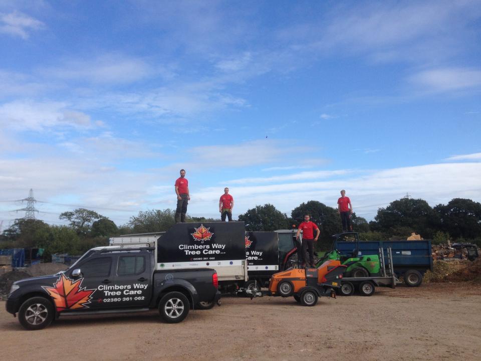 Eastleigh Tree Surgery